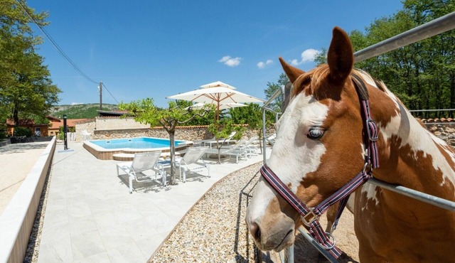 Family friendly house with a swimming pool Maovice, Zagora (K-24726)