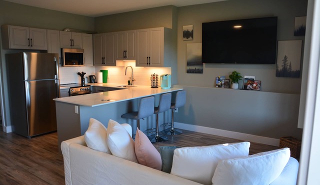 Family friendly king size bed+ sofa bed and rolling twin bed 15 min to downtown