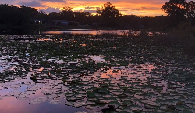 Family Friendly Lakefront Home w/Dock & Kayaks