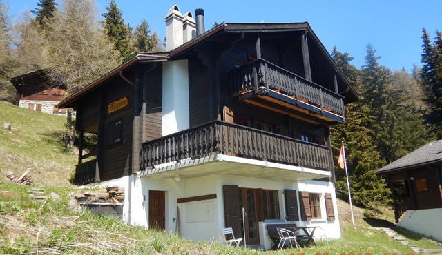 Family-friendly three-family chalet "Thomson" on the Bettmeralp