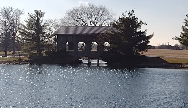 Family Friendly Tiny House w/pond