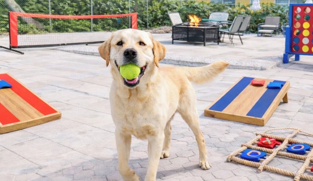 Family-Friendly Home Near the Beach Pets Welcome