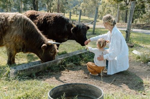 Family Fun On The Farm! Close to Kenilworth Stylish Feed Friendly Cows Breathtaking 360 Views
