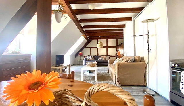 Family gîte in winegrower's house - Charlotte 6 persons