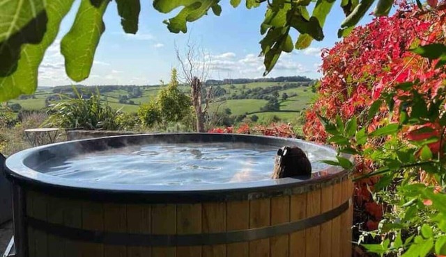 Family Gem in Bath, sleeps 18, stunning view