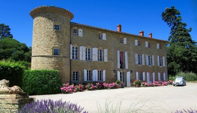 Family Gite at Chateau de Montoussel - Toulouse