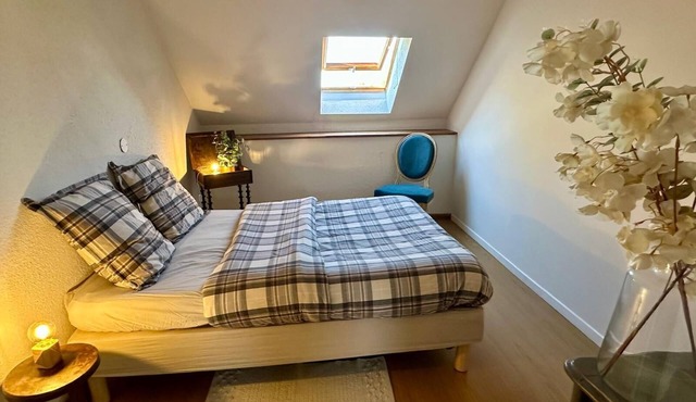 Family gite for 10 people in Burgundy