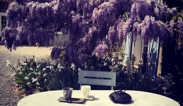 Family Guest House 2