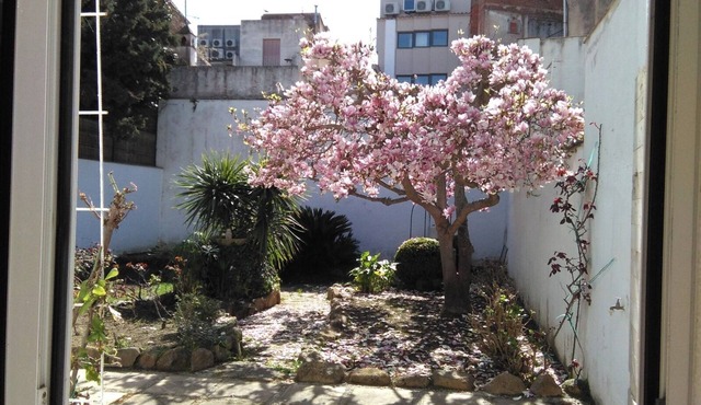 Family holiday house, within walking distance to beach and restaurant's