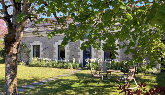 Family home between vineyards, Loire Valley and Chateaux