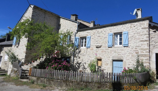 family house for rent