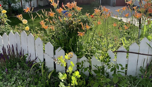 Family Home - close to BSU, Downtown, and Airport