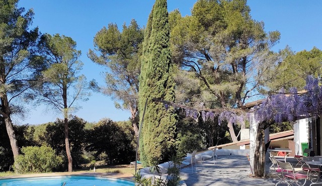 Family home in a pine forest