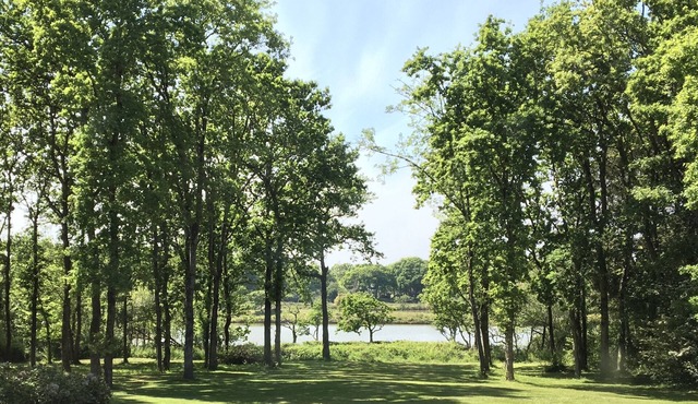 Family home with marsh views Quimiac