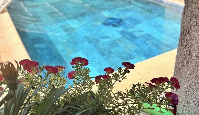 Family home with pool