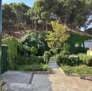 Family home with pool and garden in Tudela center