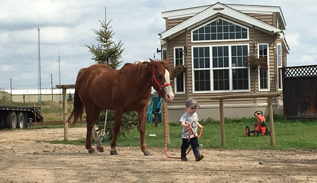 Family horse farm getaway