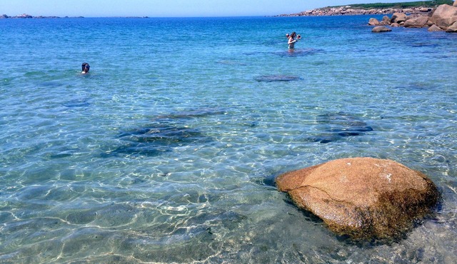 Family house at the beach with 10 bikes, games, hens, sheeps