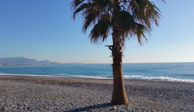 Family House 3 rooms Swimming pool Parking WIFI 2 kms Sea Villeneuve Loubet