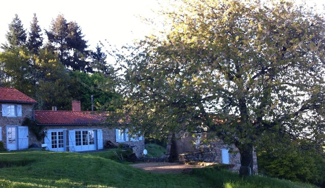 Family house in mountain above vineyards. Large domain forest and land.