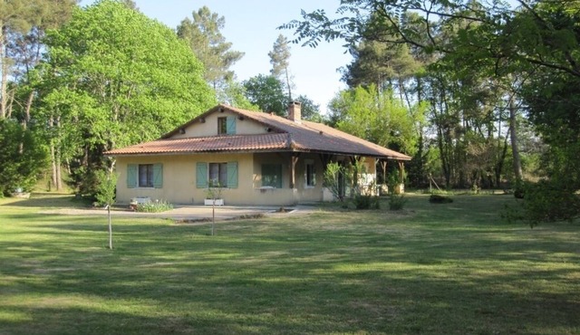Family house in the middle of the forest