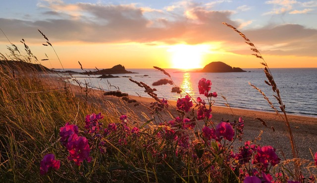 Family house, walking distance to the beach, near St Malo