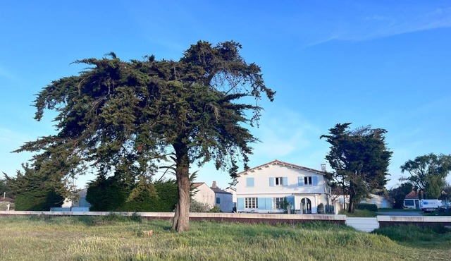 Family house with garden, sea view