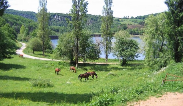 family living at the lake in a cottage in the horse farm