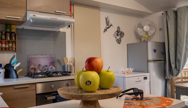 FAMILY MOBILHOME 6/8 pers COMFORTABLE AND AIR CONDITIONED