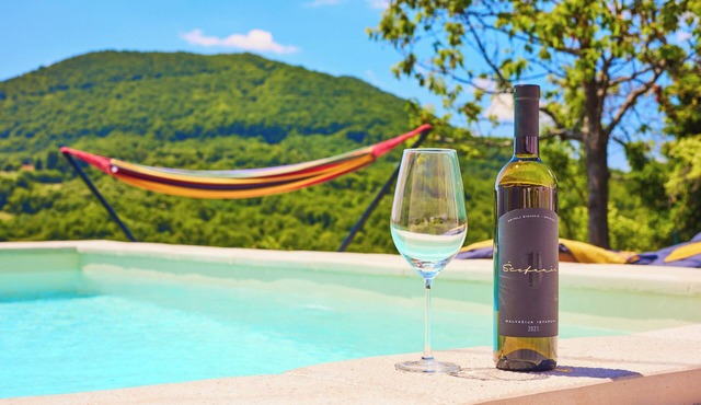 Family mountain retreat with pool, terrace, BBQ, and scenic Samobor hills for all.