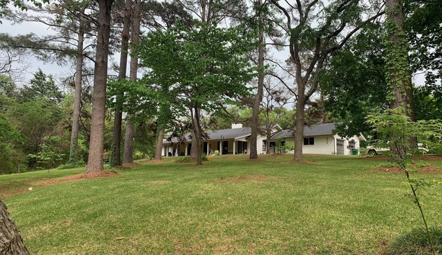 Family Paradise with Trails, Centrally Located w/Foodie Kitchen & New Bathroom