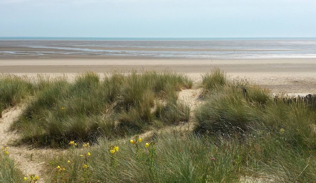 Family & Pet Friendly Home Direct On A Lovely Sandy Beach