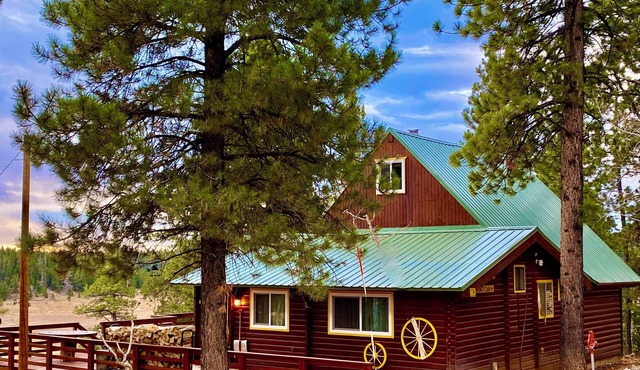 Family & Pet friendly! THAT Cabin with the amazing view!