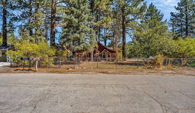 Family & Pet-Friendly Big Bear Getaway – Relax, Explore & Unwind with Big Yard!