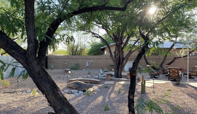 Family & Pet Friendly Desert Haven in Central Tucson