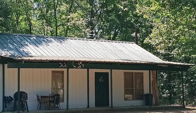 Family/pet-friendly, secluded lodge w/fishing!