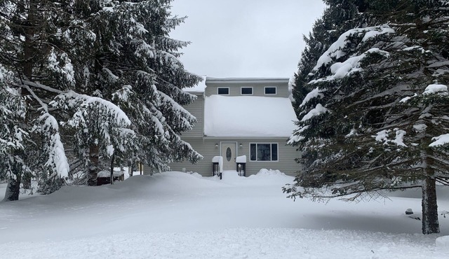 Family Retreat w Fenced Yd and Game Rooms-Pool-Shuffleboard-Arcade-AirHockey-Ski