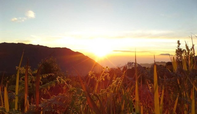 Family room 4 pax located at Bromo National Park