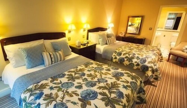 Family room-Deluxe-Ensuite