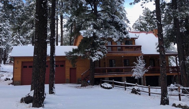 FAMILY SIZE CABIN IN THE PINES