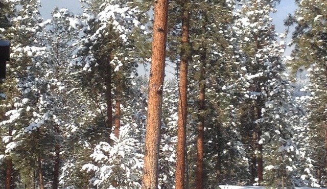 Family Size Modern Log Vacation Cabin, one pet allowed, 30 pound max. Pet fee.