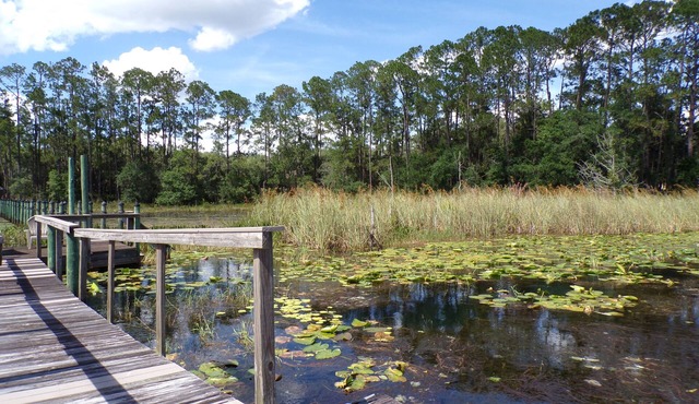 Family-sized lakehouse w/dock and water access. Close to Gainesville!