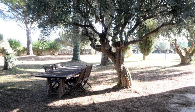 Family suite in a villa in the heart of a vineyard.