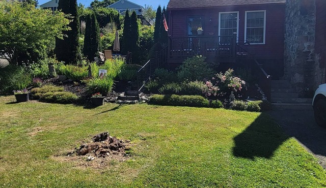 Family Summer Cottage