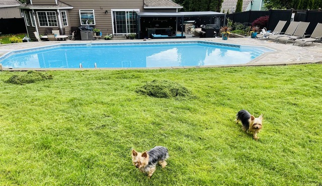 Family vacation house; no parties/events