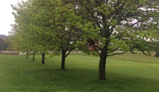 Family Wellness Space on 4 acres