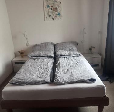 Family Zimmer BIGASKY
