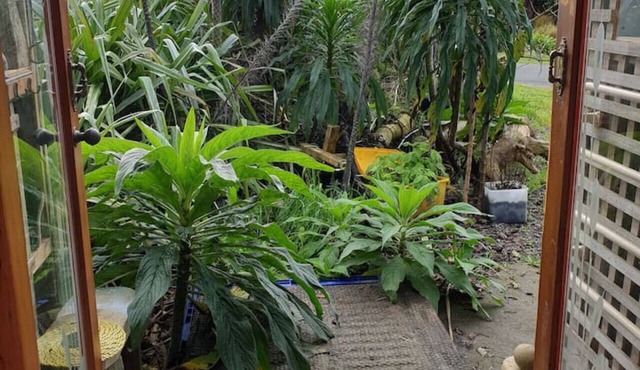 Famous Riverton Boat Shed