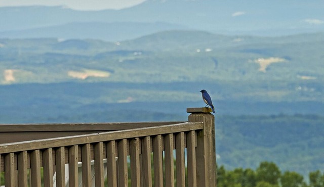 Fancy Gap Va overlooking Pilot Mountain, fantastic seven county views. Amazing