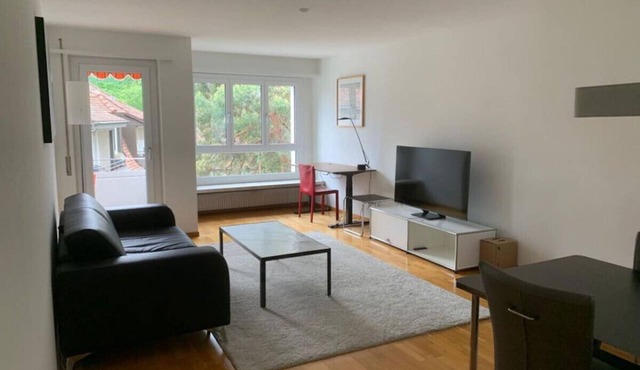 Fantastic 1BR flat in the city center (Marble1)